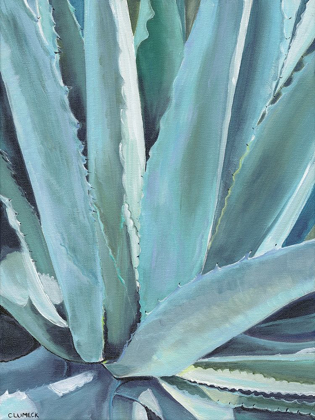 Picture of BLUE AGAVE