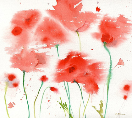 Picture of POPPY REDS