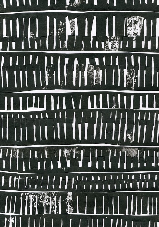 Picture of BLACK COLLAGE