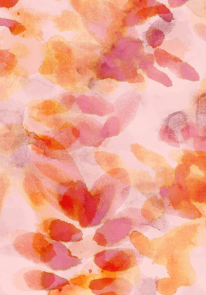 Picture of BLOOM ROSE