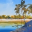 Picture of RIVER BANK