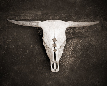 Picture of SEPIA CATTLE SKULL