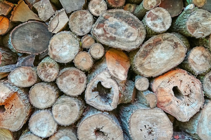 Picture of WOODPILE