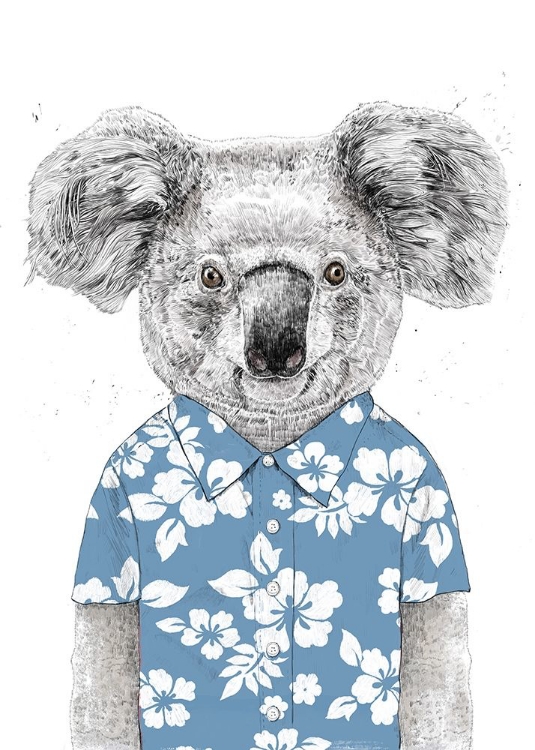 Picture of SUMMER KOALA (BLUE)