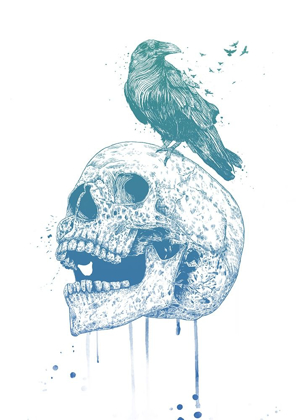 Picture of NEW SKULL (BLUE)