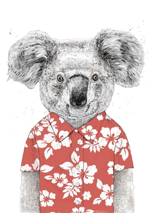 Picture of SUMMER KOALA (RED)