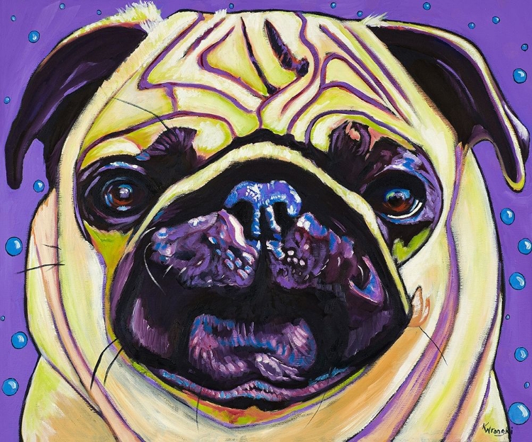 Picture of PURPLE PUG