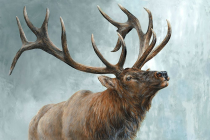 Picture of RISING BULL ELK 