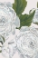 Picture of GREY PEONY I 