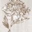 Picture of GLORIOUS PEONY I 