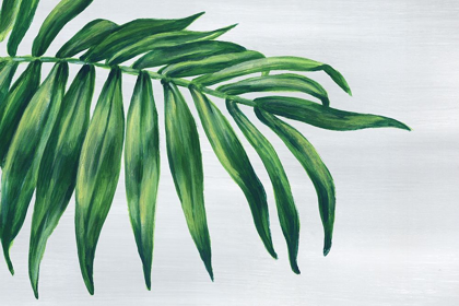 Picture of TROPICAL LEAF I 