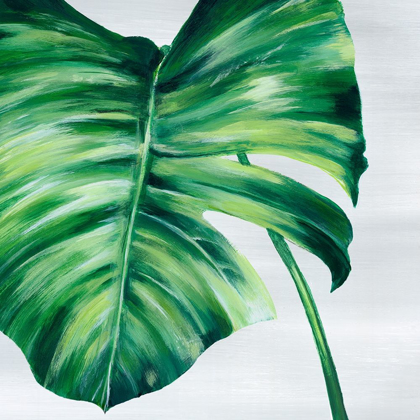 Picture of TROPICAL LEAF II 