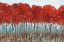 Picture of RED ROVER