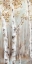 Picture of SUNSET BIRCH FOREST I 