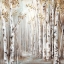 Picture of SUNSET BIRCH FOREST III 