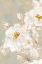 Picture of WHITE ROSE II 
