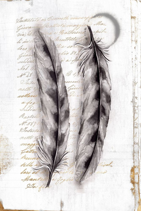 Picture of VINTAGE FEATHERS I 