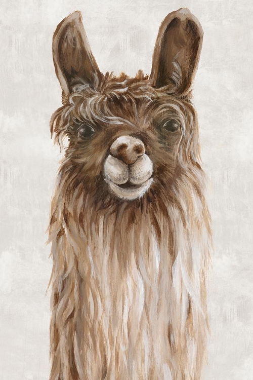 Picture of SURI ALPACA I 