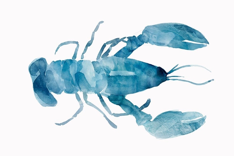 Picture of BLUE LOBSTER