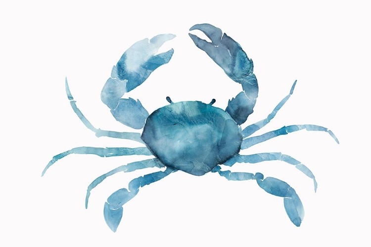 Picture of BLUE CRAB