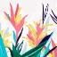 Picture of ALPINIA II 