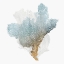 Picture of DELICATE CORAL III 