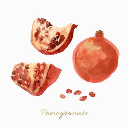 Picture of POMEGRANATE 