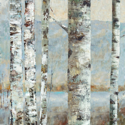 Picture of WINTER BIRCH II