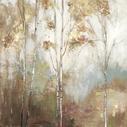 Picture of FINE BIRCH II