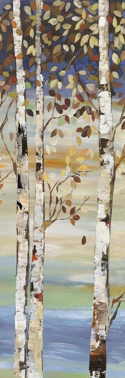 Picture of DARK BIRCH I 