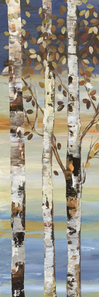 Picture of DARK BIRCH II 