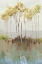 Picture of PEACEFUL WOODLAND