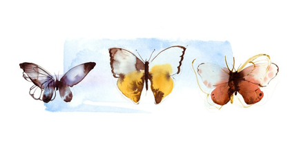 Picture of BUTTERFLY FLY AWAY II 