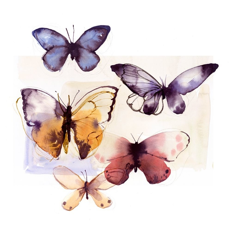 Picture of BUTTERFLY FLY AWAY III 