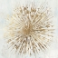 Picture of GOLDEN STAR