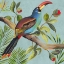 Picture of PARADISE TOUCAN I
