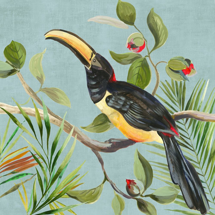 Picture of PARADISE TOUCAN II