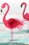 Picture of BEACH FLAMINGOES