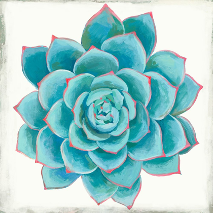 Picture of PASTEL SUCCULENT II