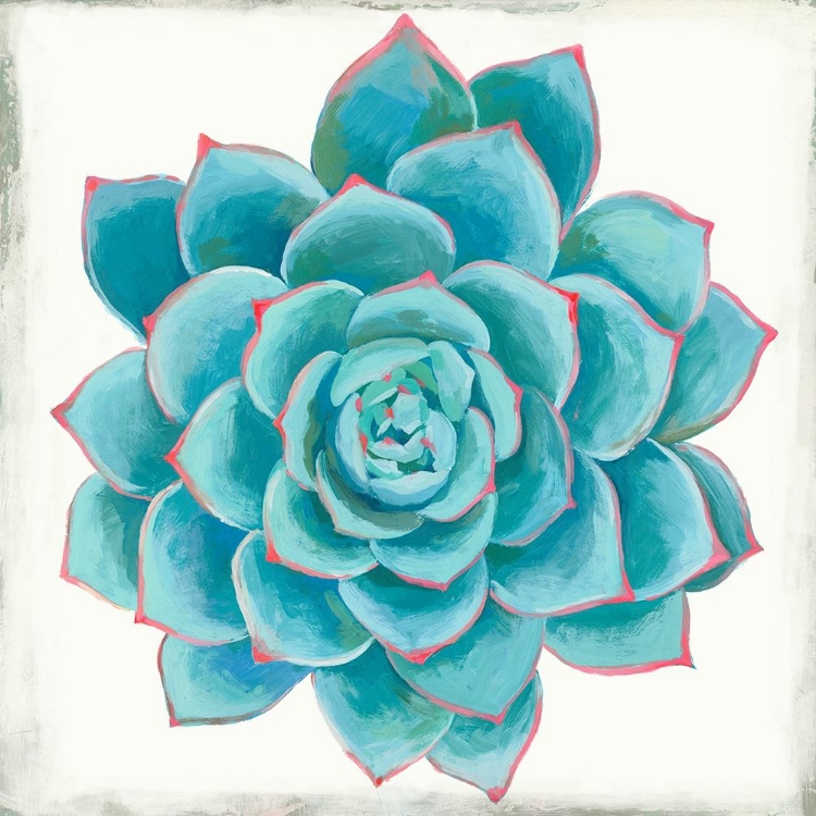 Picture of PASTEL SUCCULENT II