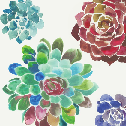 Picture of WATER SUCCULENTS I 