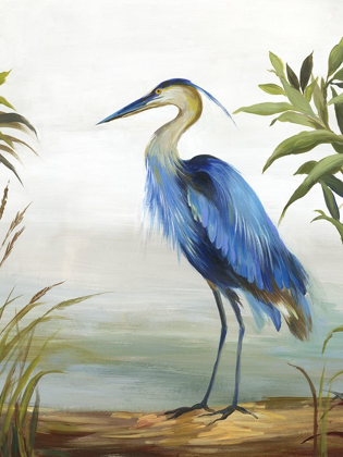 Picture of BLUE HERON 