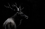 Picture of MEI - THE DEER SOUL