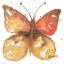 Picture of MARIPOSA 4