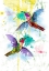 Picture of KOLIBRI