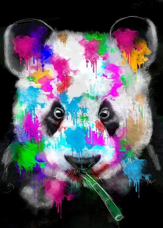 Picture of PANDA