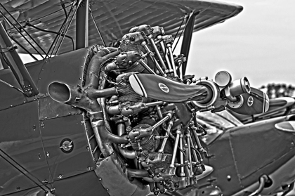 Picture of ENGINE IN BLACK AND WHITE II