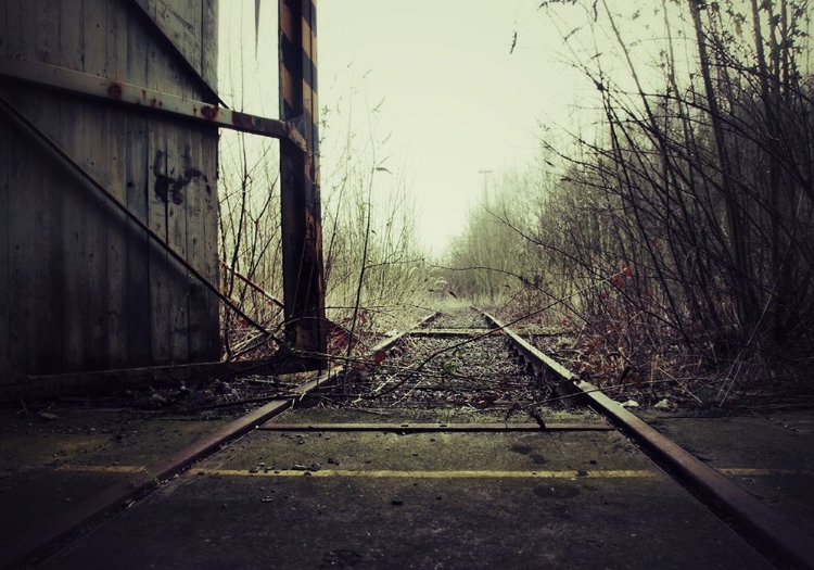 Picture of TRAINRAIL