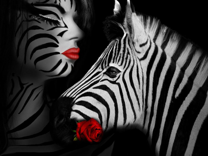 Picture of ZEBRA LOVE