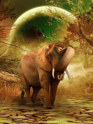 Picture of THE ELEPHANT RICARDO 2